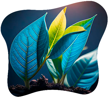 Our vision image